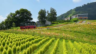 マウンテン ビュー / 25