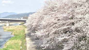 施設からの眺望 / 8