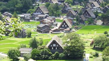 観光スポット / 8