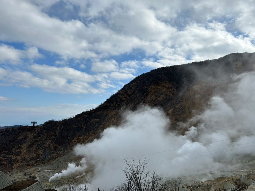 ___0531_mさんの写真 / 2