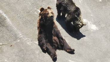 観光スポット / 5