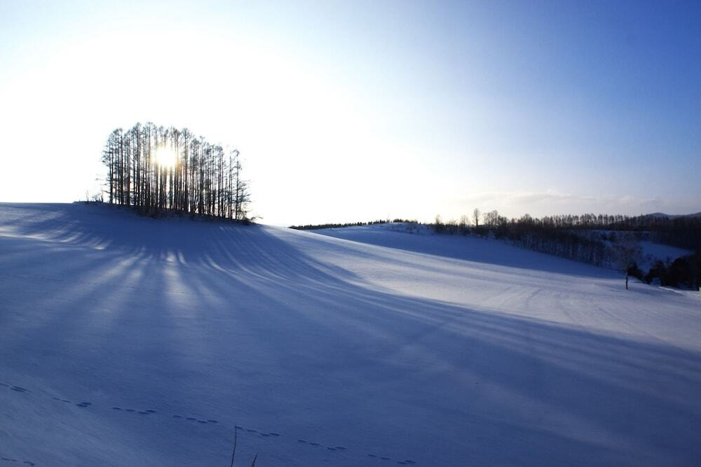 施設からの眺望