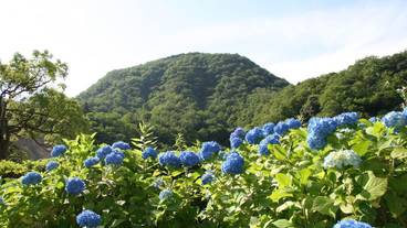 マウンテン ビュー / 18