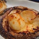 居酒屋おさない（イザカヤオサナイ）