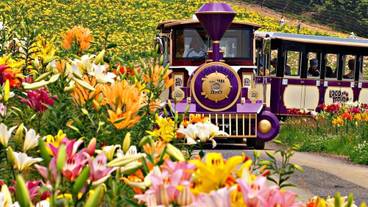 食事・飲み物 / 1