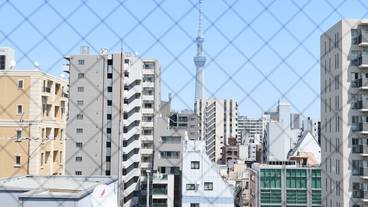 部屋からの景観 / 11