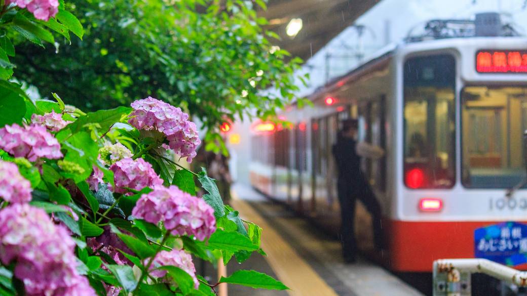 宿の周辺を散策
ケーブルカーも体験 / 4