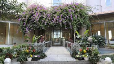 施設の入り口 / 19