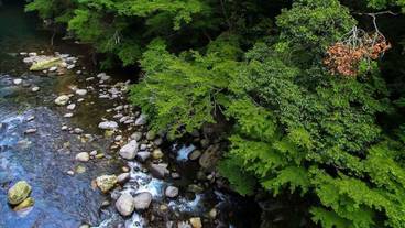 施設からの眺望 / 40