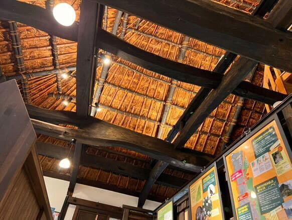 aoyuuzさんの写真 / 8