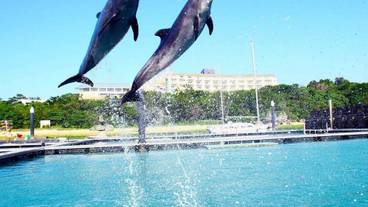 メイン イメージ / 1