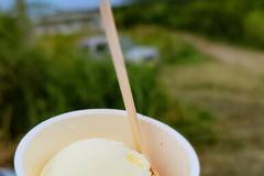 石垣島ミルククラウン