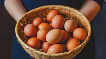 朝食ビュッフェ / 11