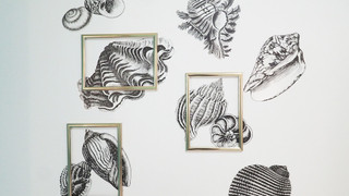 [ANNEX]全館女性専用 ロフトベッド (洋室・個室)