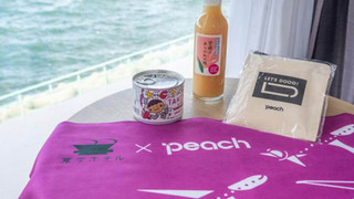 [Peach ルーム] Peachオリジナルグッズ付き・1日1室限定 (禁煙)