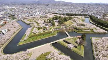 五稜郭公園 / 2