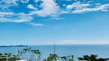 シティ ビュー / 6