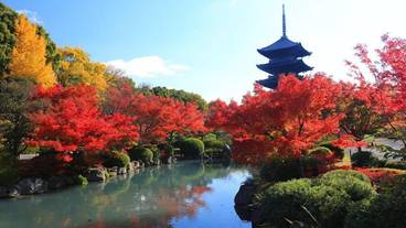 観光スポット / 8