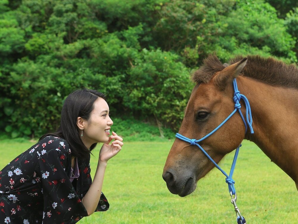 乗馬