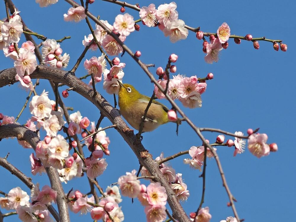 観光スポット