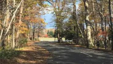 スポーツ設備 / 1