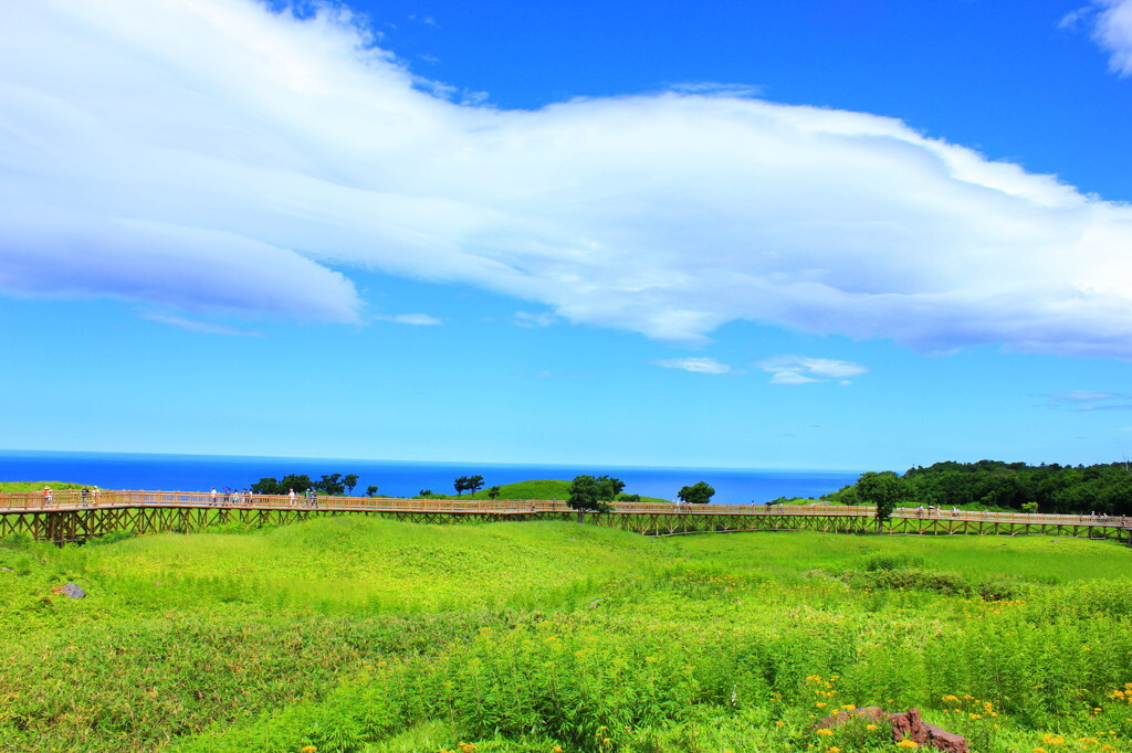 自然を間近で体験「知床五湖」3693524