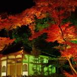 秋の特別拝観が見逃せない！紅葉が美しい京都「宝厳院」