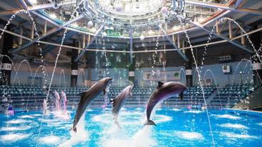 施設内の設備 / 10