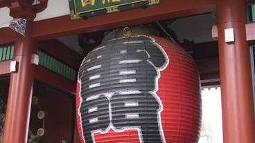 ランド ビュー / 15