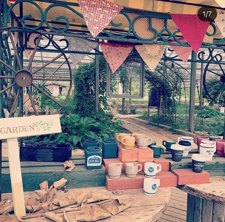 happy.smile.s.bosoさんの写真 / 3