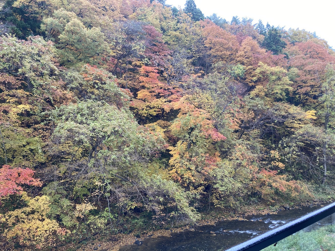 部屋の窓の外は紅葉の絶景