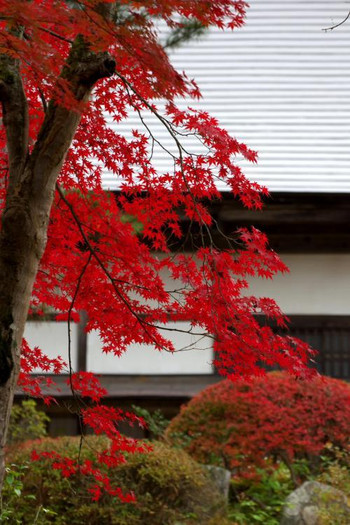 福満虚空藏菩薩圓藏寺（ふくまんこくぞうそんえんぞうじ）(柳津町)771967