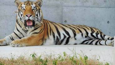 シティ ビュー / 9