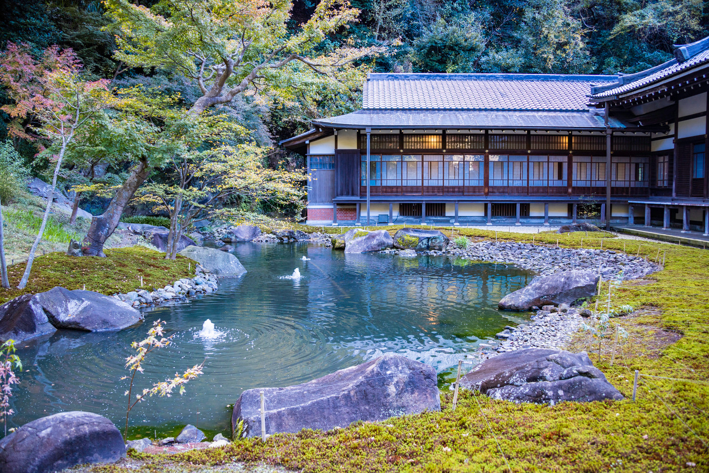 （神奈川県）円覚寺・書院　池・紅葉