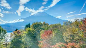 マウンテン ビュー / 15