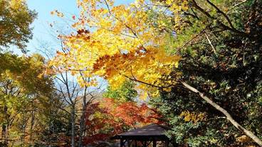 部屋からの景観 / 40