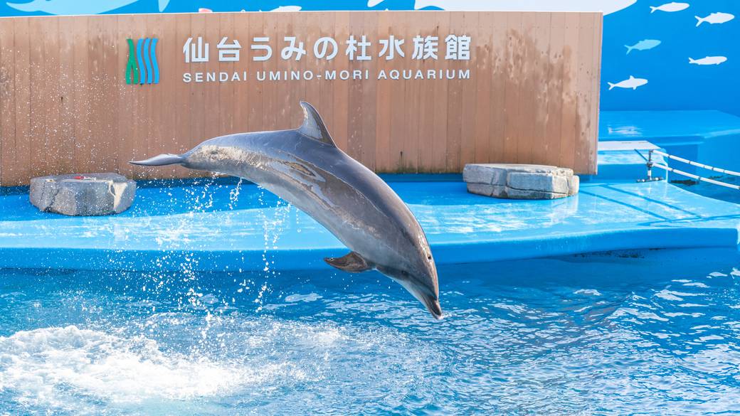 仙台うみの杜水族館 / 1