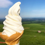 濃厚ソフトクリームを絶景と共に堪能♪北海道「ナイタイ高原牧場」