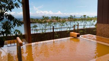 「スパテラス水月」淡路棚田の湯① / 12