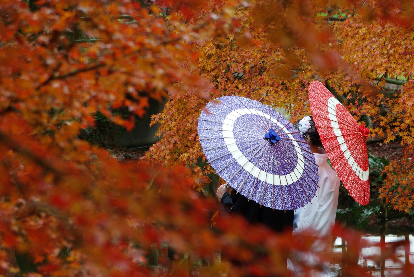 紅葉のウエディング