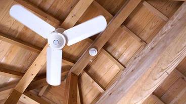 客室の設備とサービス / 5