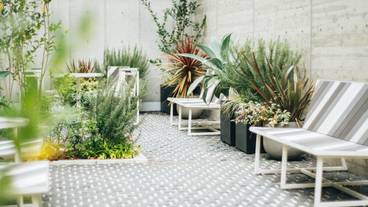 ガーデンエリア / 5