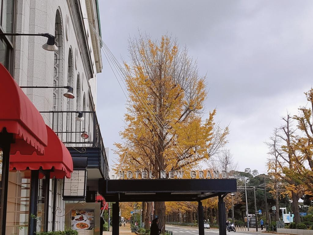 asami.arataさんの写真 / 2