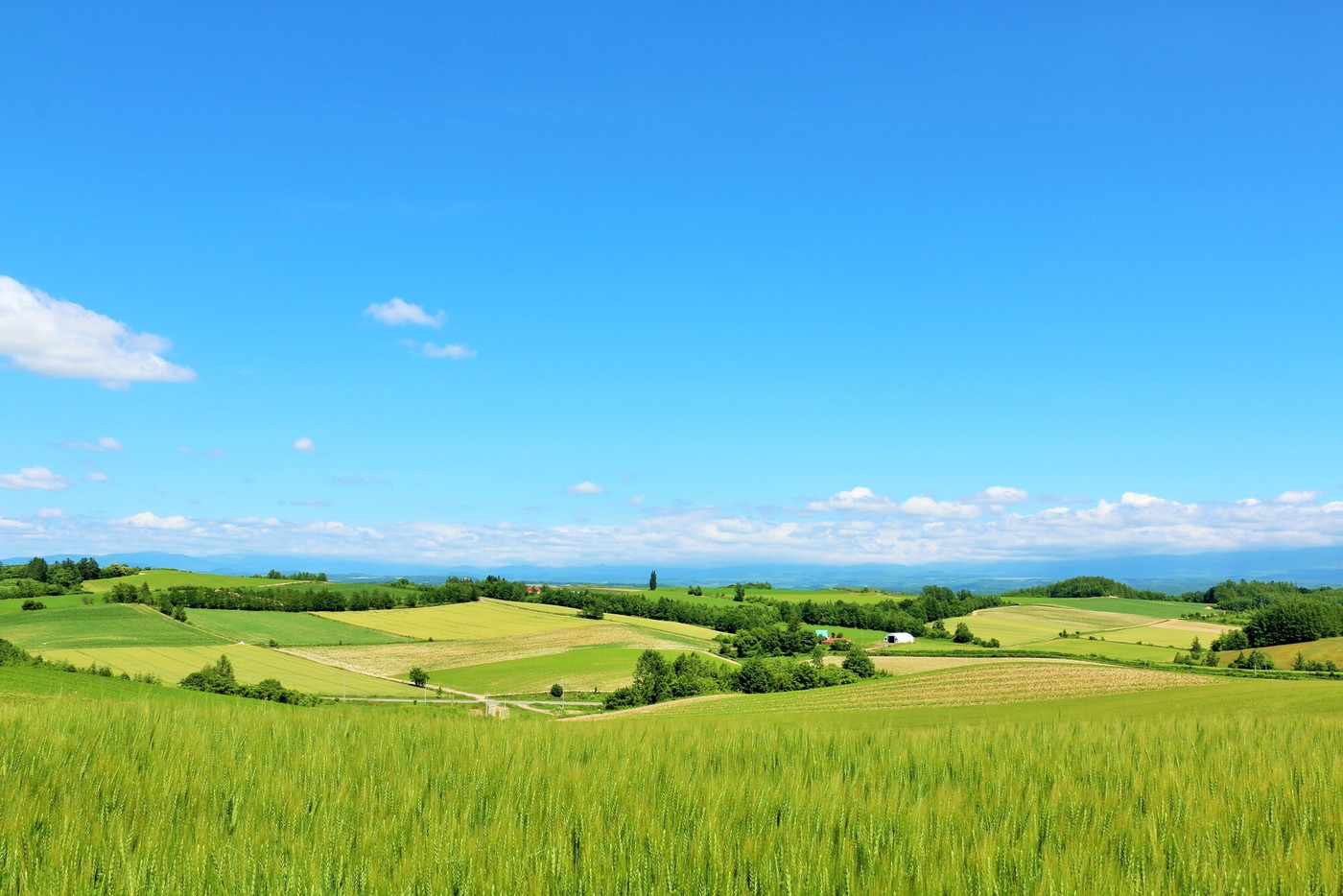 北海道　夏の青空と美瑛の丘