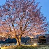 布引温泉こもろ（長野県 旅館） / 4