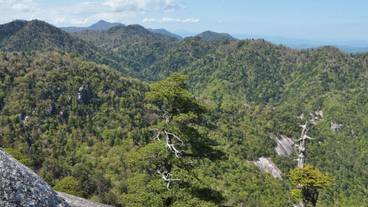 観光スポット / 36