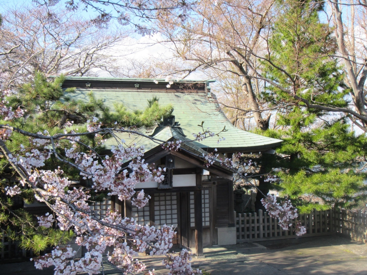 10.クジラをお祀りしている珍しい神社「室蘭八幡宮」2288610