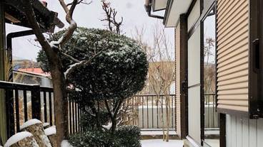 施設の敷地 / 10