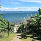 絶景露天風呂の宿 指宿ロイヤルホテル（鹿児島県 旅館） / 5