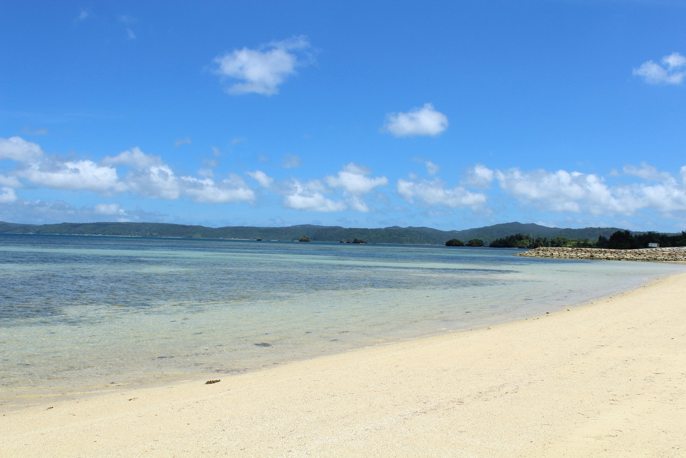 3.仲良くスローライフ♪「コルディオ　プール＆ヴィラズ済井出」3505332